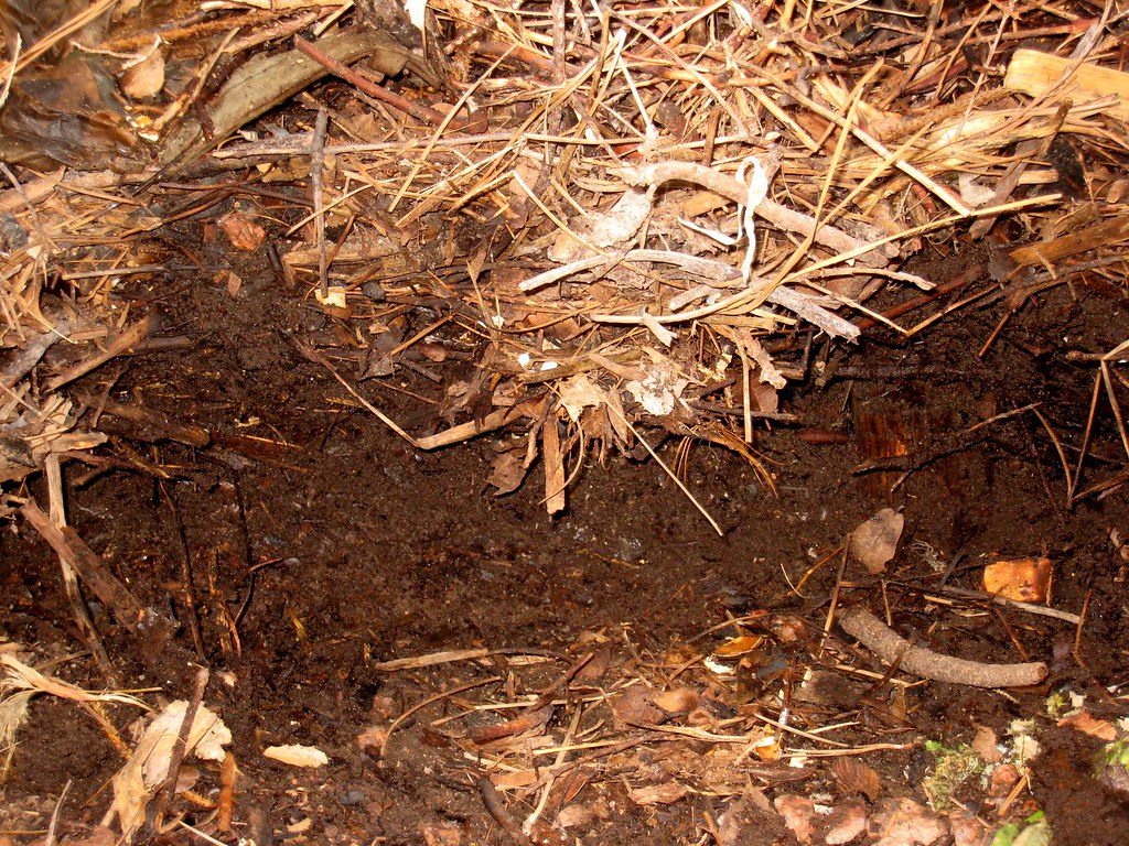 Dark, rich topsoil texture (stock photo, not this yard) by Brimfield Aggregate, Brimfield